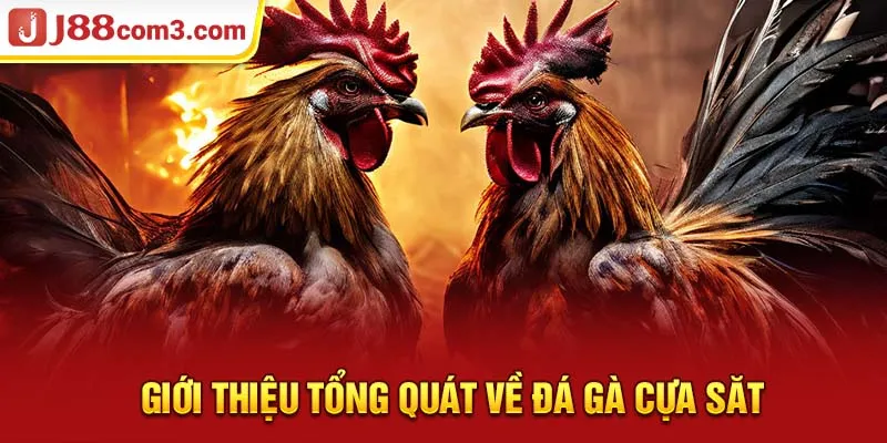 Giới thiệu tổng quát về đá gà cựa săt