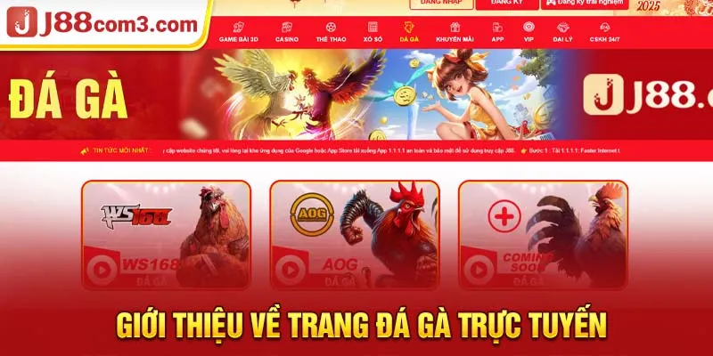 Giới thiệu về trang đá gà trực tuyến