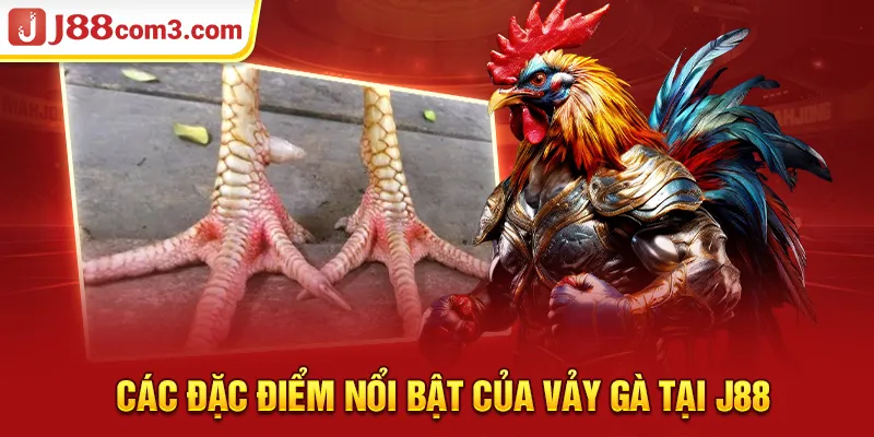 Các đặc điểm nổi bật của vảy gà tại J88