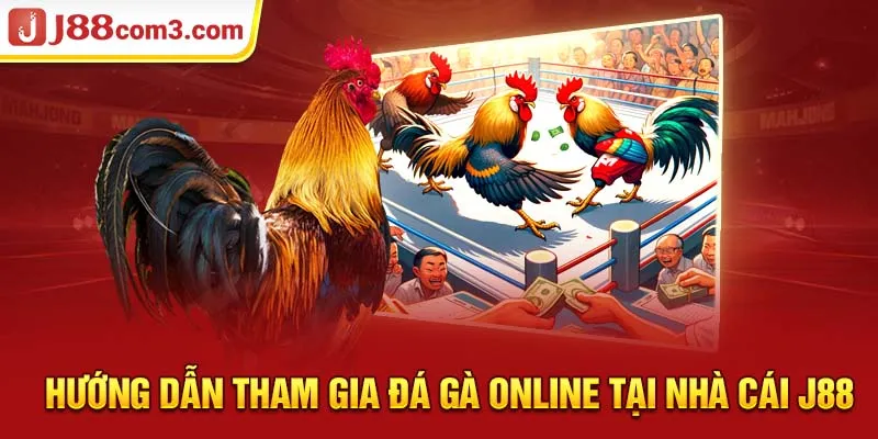 Hướng dẫn tham gia đá gà online tại nhà cái J88