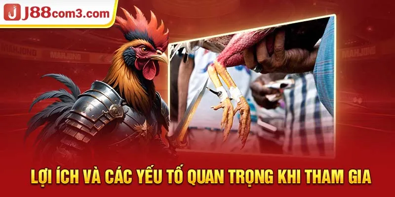 Lợi Ích và Các Yếu Tố Quan Trọng Khi Tham Gia 