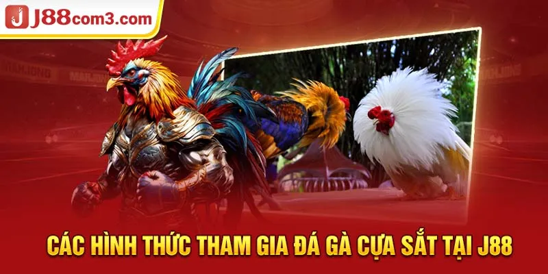 Các hình thức tham gia đá gà cựa sắt tại J88